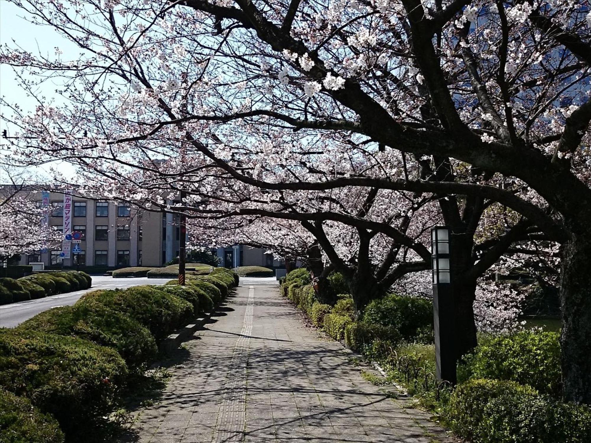 Hotel New Otani Saga Exterior photo